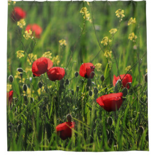 Feld mit grünem Gras, gelben und roten Wildblumen Duschvorhang