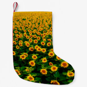 Feld mit hellgelben Sonnenblumen an sonnigen Tagen Kleiner Weihnachtsstrumpf
