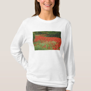Feld mit Hybridmohnblumen bepflanzt entlang T-Shirt