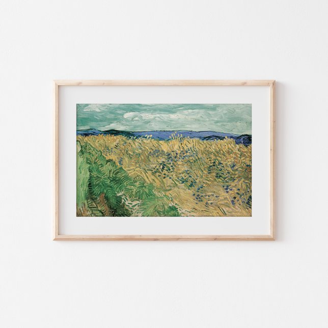 Feld mit Kornblumen | Vincent van Gogh Poster (Von Creator hochgeladen)