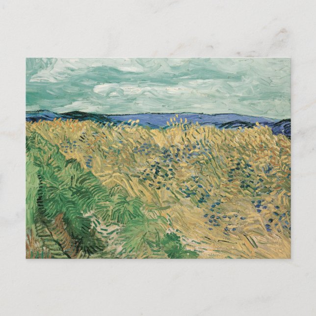 Feld mit Kornblumen | Vincent van Gogh Postkarte (Vorderseite)