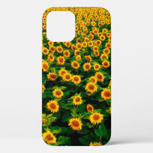 Feld mit leuchtend gelben Sonnenblumen an einem so Case-Mate iPhone Hülle