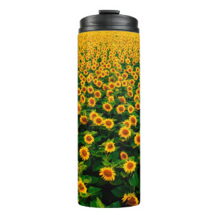 Feld mit leuchtend gelben Sonnenblumen an einem so Thermosbecher