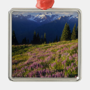 Feld mit Lupinen, Mt. Olympus und Wolken bei Ornament Aus Metall