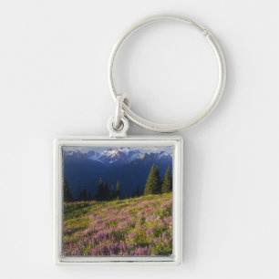 Feld mit Lupinen, Mt. Olympus und Wolken bei Schlüsselanhänger