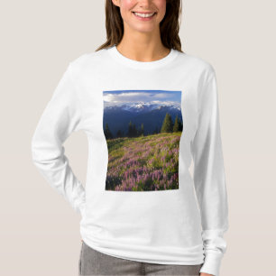 Feld mit Lupinen, Mt. Olympus und Wolken bei T-Shirt