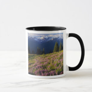 Feld mit Lupinen, Mt. Olympus und Wolken bei Tasse