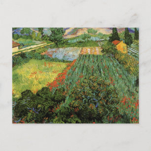 Feld mit Mohn von Vincent van Gogh Postkarte