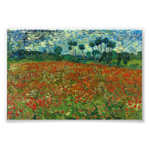Feld mit Poppies von Van Gogh Fine Art Fotodruck
