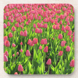 Feld mit rosa Tulpen Getränkeuntersetzer