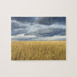 Feld mit Sturmwolken Puzzle