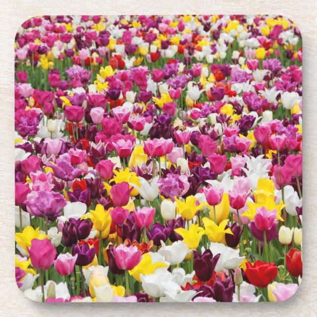 Feld mit Tulpen Getränkeuntersetzer (Vorderseite)