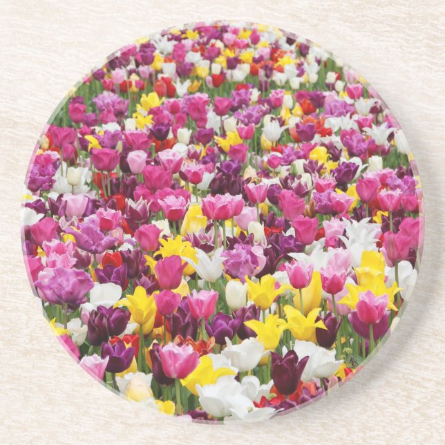 Feld mit Tulpen Getränkeuntersetzer (Vorne)