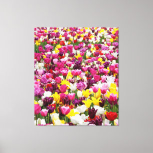 Feld mit Tulpen Leinwanddruck