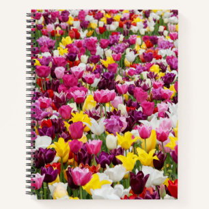 Feld mit Tulpen Notizbuch