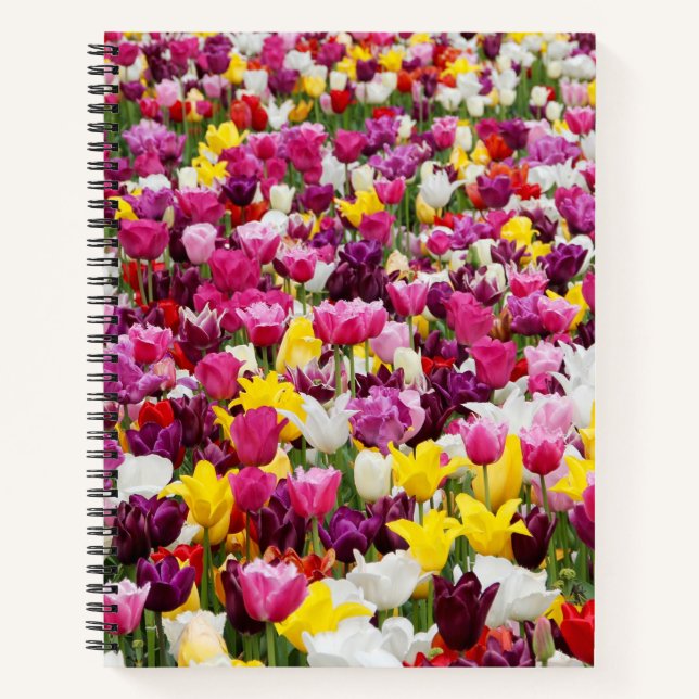 Feld mit Tulpen Notizbuch (Vorderseite)