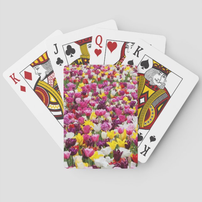 Feld mit Tulpen Spielkarten (Rückseite)