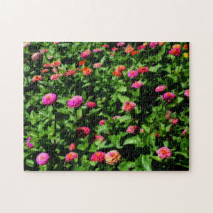 Feld mit Zinnienblumen Orton Art Effekt  Puzzle