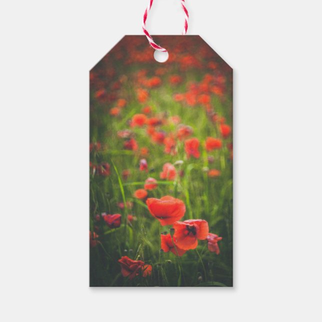 Feld Poppies Geschenkanhänger (Vorderseite)