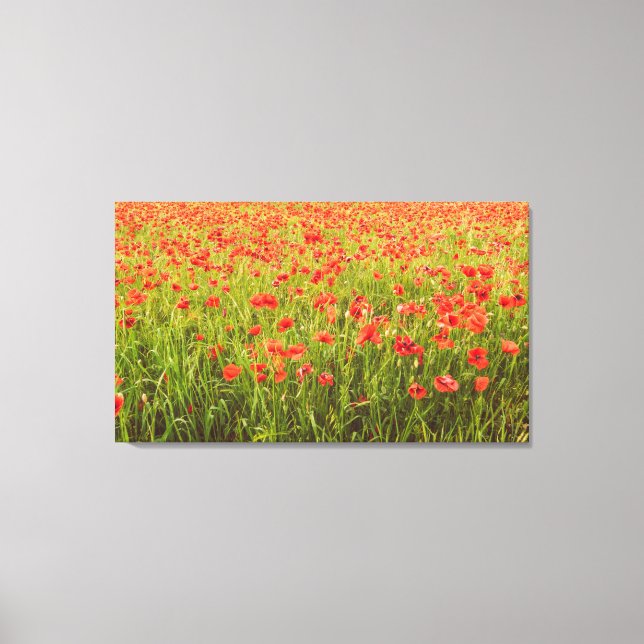 Feld Poppies Leinwanddruck (Vorderseite)
