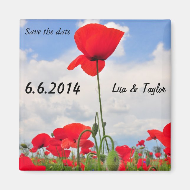 Feld Poppies Magnet (Vorne)