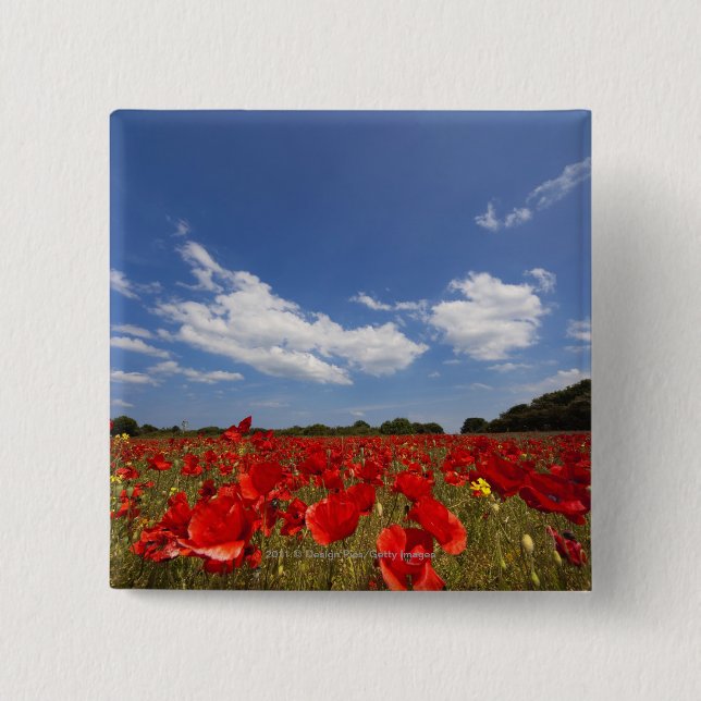 Feld voll der roten Blumen Button (Vorderseite)