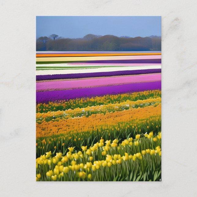 Feld voll von Tulips, Tulips, Blume, Blumen, Postkarte (Vorderseite)