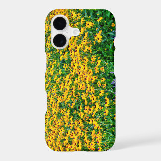 Feld von Rudbeckia Hirta und Lavendel