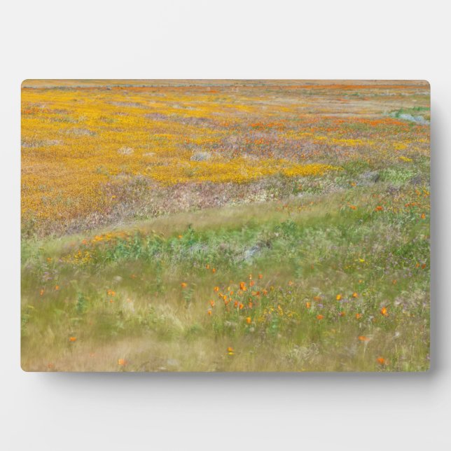 Feld Wildblume Fotoplatte (Vorderseite)