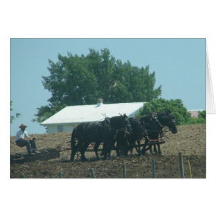 Feldarbeit mit Pferden