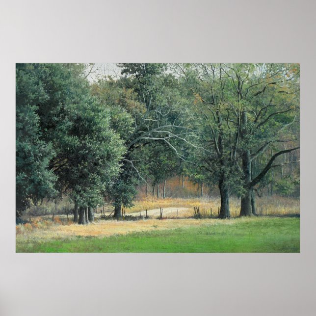 Felder 1 poster (Vorne)