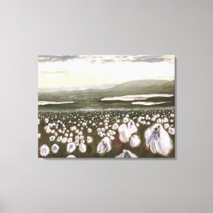 Felder arktischer Baumwolle: Canvas-Drucknorm Leinwanddruck