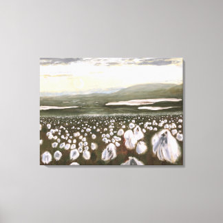 Felder arktischer Baumwolle: Canvas-Drucknorm Leinwanddruck