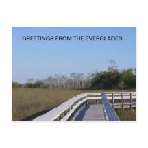 FELDER DER EVERGLADES