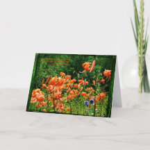 Felder der Lilien