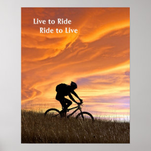 Felder des Goldes Poster