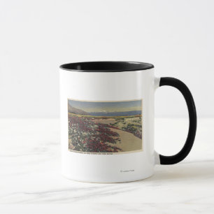 Felder des Wüsten-Sonnenscheins u. der wilden Tasse