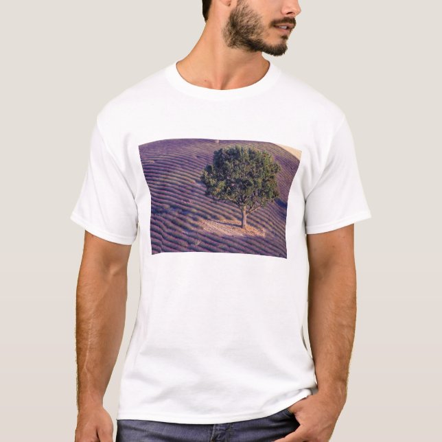 Felder EU, Frankreich, Provence, Lavendel T-Shirt (Vorderseite)