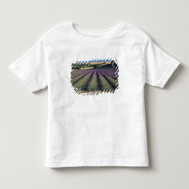 Felder EU, Frankreich, Provence, Lavender 2 Kleinkind T-shirt (Vorderseite)