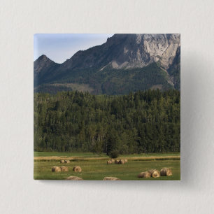 Felder mit geschlagenem Heu, Alberta, Kanada Button