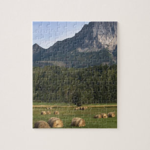 Felder mit Heuballen, Alberta, Kanada Puzzle