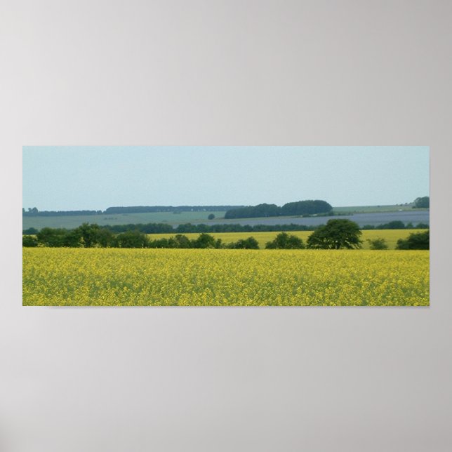 Felder Poster (Vorne)