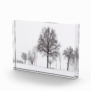 Felder um Skalenghe Piemont, Italien Fotoblock