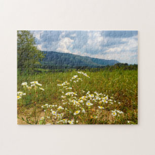 Felder von Daisies Tennessee. Puzzle