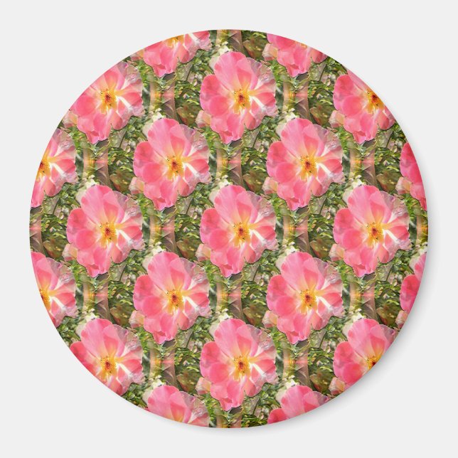 Felder von Rose.... Magnet (Vorne)