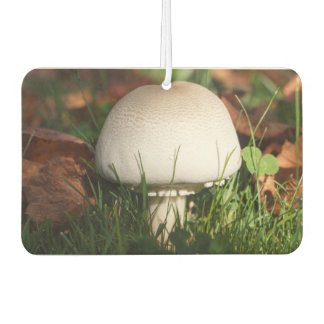 Feldpilz im Wald Autolufterfrischer