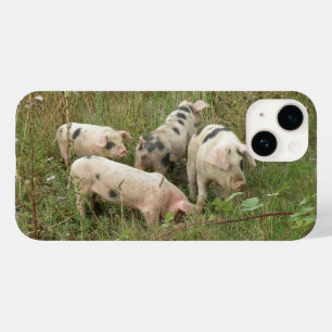 Feldschweine Case-Mate iPhone Hülle