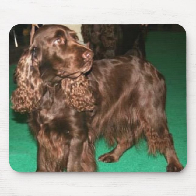 FeldSpaniel Mousepad (Vorne)