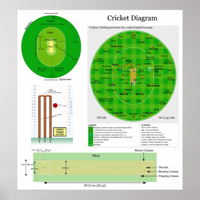 Feldstich und Wicket-Diagramm zur Position der Cri Poster (Vorne)