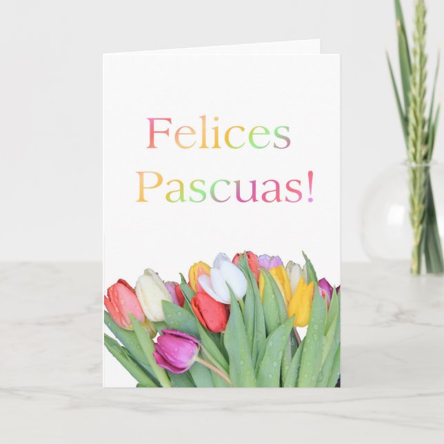 Felices Pascuas spanisch Happy Oaster Feiertagskarte (Vorderseite)